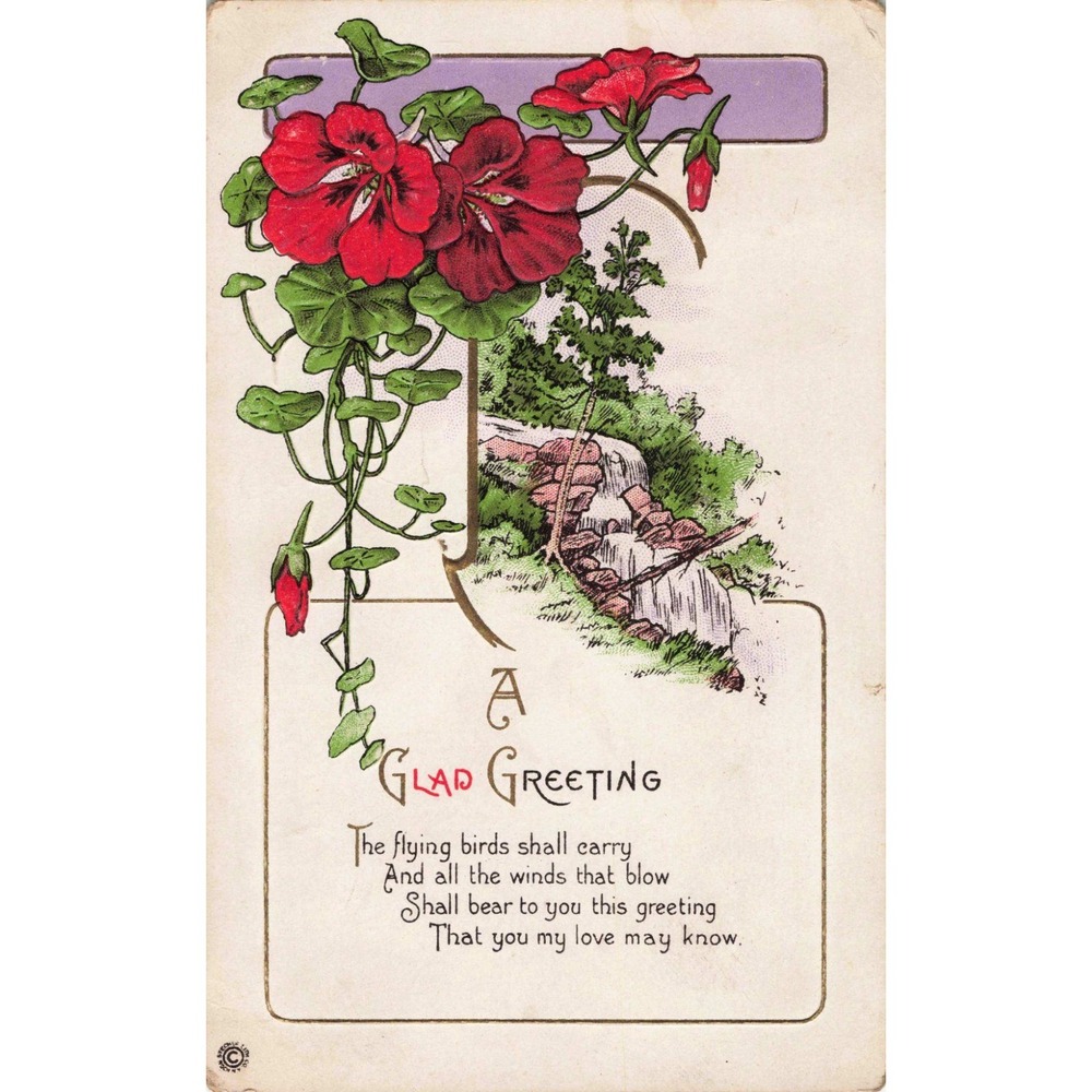 Vintage 1921 A Glad Greeting Postcard Red Flowers Waterfall St Peter Illinois - Picture 1 of 2